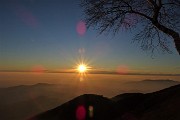 Pomeriggio in LINZONE (1392 m) con tramonto in compagnia di caprette orobiche il 7 genn. 2020 - FOTOGALLERY
